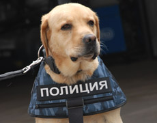 &laquo;Солдаты&raquo; правопорядка
